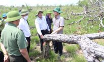 Bắt 28 người trong vụ phá hơn 380 ha rừng tại Đắk Lắk