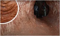 Phát hiện kinh ngạc: Hàng nghìn đường hầm khổng lồ nghi do động vật đào ở Brazil 13000 năm trước?
