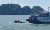 Hai tàu va chạm trong vịnh Lan Hạ, một nữ du khách tử vong
