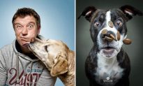 Chùm ảnh hài hước: Những chú chó 'há hốc mồm' bắt đồ ăn đang rơi