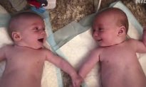 Video đáng yêu: 2 bé trai song sinh lần đầu tiên ‘trò chuyện’ với nhau