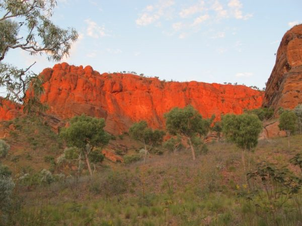 Vùng Kimberley xa xôi của Tây Bắc Úc, nơi sinh sống chủ yếu của loài châu chấu W. virgo sinh sản đơn tính.