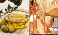 Kinh ngạc với phương pháp sản xuất dầu olive của người Ai Cập cổ đại