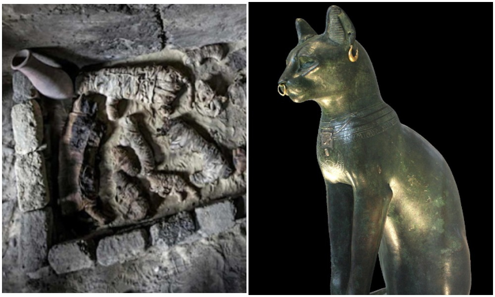 Vì sao mèo có ý nghĩa đặc biệt trong văn hóa Ai cập cổ?