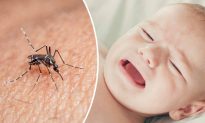 Tại sao trẻ nhỏ hay bị muỗi đốt? Ba cách giảm ngứa đơn giản