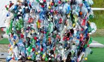 Tái chế nhựa bằng enzyme đột biến: Công nghệ cứu tinh của môi trường xuất hiện