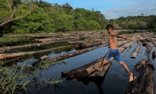 Sự thật về những áp lực chính trị lên rừng nhiệt đới Amazon ở Brazil