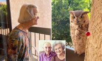 Video: Cú mèo đến thăm bà ngoại 98 tuổi hàng ngày - Gia đình nghĩ rằng đó là một dấu hiệu từ ông ngoại