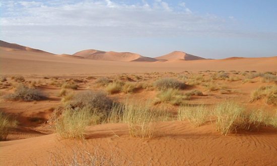Quét ra-da sâu dưới sa mạc Sahara, các nhà khoa học phát hiện ra một 'thứ' khổng lồ bên dưới