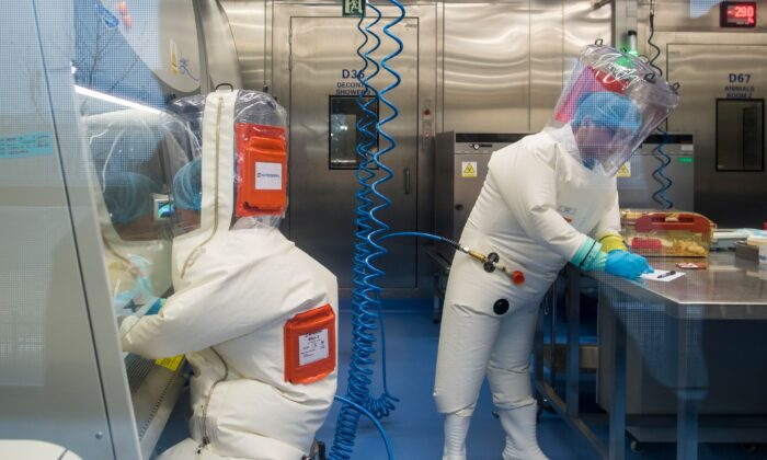 Chuyên gia: Phòng thí nghiệm Vũ Hán đã 'chỉnh sửa gene' virus gây chết người Nipah