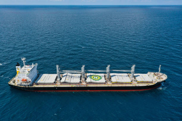 Thổ Nhĩ Kỳ: Thêm 2 tàu ngũ cốc đã rời cảng Ukraine