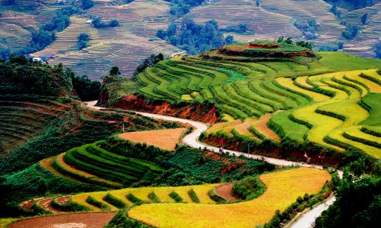 Du lịch: 5 nơi đẹp nhất ở Việt Nam vào mùa thu