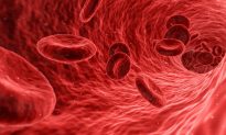 Nếu máu có màu đỏ, tại sao chúng ta lại nhìn thấy các tĩnh mạch dưới da có màu xanh lam?