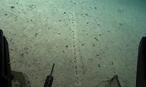 Các nhà khoa học phát hiện một dãy lỗ kỳ lạ dưới đáy đại dương