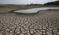 Chuyên gia: Sông Dương Tử của Trung Quốc khô cạn do chính sách 'đấu trời' của Bắc Kinh