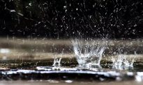 Nước mưa ở mọi nơi trên Trái đất đều không an toàn để uống 
