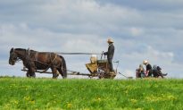 6 điều tôi đã học được từ người Amish