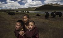 Tổ chức Theo dõi Nhân quyền: Trung Quốc thu thập hàng loạt ADN của trẻ em Tây Tạng