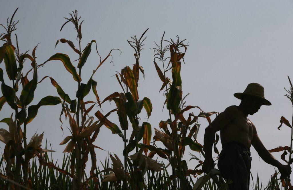Trung Quốc: 10 triệu hecta mùa màng thất thu vì hạn hán kéo dài