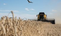 Ba Lan, Hungary đồng loạt cấm nhập khẩu nông sản từ Ukraine