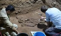 Khám phá đáng kinh ngạc: Con người có thể thực hiện những ca cắt cụt chi tuyệt vời cách đây 30.000 năm