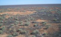 Tìm thấy dấu vết của rạn san hô cổ đại khổng lồ trong sa mạc của Úc
