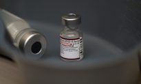 FDA sử dụng dữ liệu trên chuột để cấp phép khẩn cấp mũi vaccine COVID-19 tăng cường mới