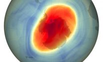 Lỗ thủng tầng ozone tiếp tục thu hẹp vào năm 2022, theo NASA