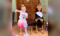 Sự kết hợp dễ thương nhất: Cô chó Rottweiler thông minh dạy cô chủ nhỏ 'hát'