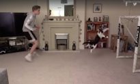 Video hài hước: Mèo nhảy bắt bóng như thủ môn chuyên nghiệp