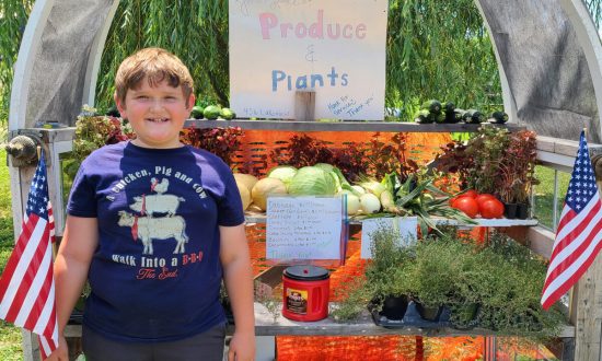 Ước mơ trở thành nông dân, cậu bé 9 tuổi người Mỹ mở quầy bán nông sản của riêng mình