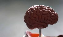 Não có thể tái sinh trong đầu của những người không não hay không? (Phần 2)