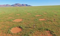 Các nhà khoa học cuối cùng đã giải đáp được bí ẩn về vòng tròn cổ tích trên sa mạc ở Namibia
