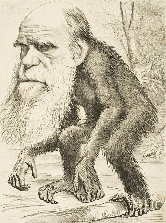 Bức tranh biếm họa Charles Darwin với thân hình của một con khỉ tượng trưng cho Thuyết tiến hóa ông nêu ra. 