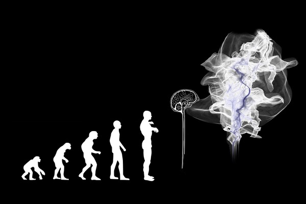 Ngày càng nhiều nghiên cứu khoa học thách thức học thuyết tiến hoá của Darwin, việc tin vào loài người tiến hoá từ vượn mà không dùng tư duy phản biện liệu đã thực sự khách quan và công bằng?