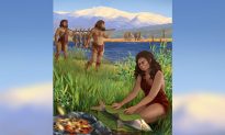 Viết lại lịch sử nhân loại: Phát hiện món ăn từ 780.000 năm trước của một chủng người khác?