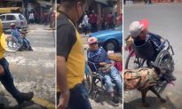 Video: Chú chó trung thành đẩy người chủ tàn tật qua các đường phố ở Mexico