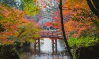 Thơ: Nước Nhật mùa lá vàng lá đỏ