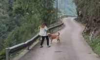 Video: Chú chó nhảy khỏi xe máy để ngăn cô chủ đang mang thai, giây tiếp theo đường núi đổ sập