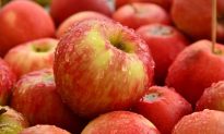 Tại sao bạn nên ăn hai miếng táo mỗi ngày?