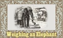 Những câu chuyện đạo đức cho trẻ em: Cân voi