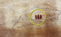 Nhà khảo cổ nghiệp dư tìm ra ý nghĩa của các ký hiệu bí ẩn trong các bức tranh hang động 20.000 năm tuổi trên khắp châu Âu