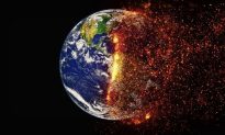 Siêu máy tính cho biết 27% sự sống trên Trái đất sẽ biến mất vào cuối thế kỷ này