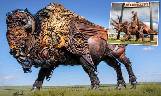 Nghệ sĩ người Mỹ biến kim loại phế liệu thành các tác phẩm điều khắc động vật tuyệt vời