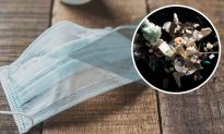 Hạt vi nhựa từ khẩu trang được tìm thấy sâu trong phổi của người sống (Phần 1)