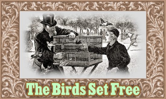 Những câu chuyện đạo đức cho trẻ em: Trả tự do cho những chú chim