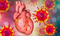Nghiên cứu mới của Đức - những bằng chứng trực tiếp về tổn thương tim gây tử vong do vaccine mRNA