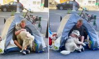 Video: Chú chó husky 'phải lòng' một người đàn ông vô gia cư ở Paris - Mối quan hệ của cả hai đã thay đổi cuộc đời anh ấy