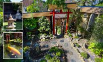 Một người cha dành 13 năm để “hô biến” sân sau thành mảnh vườn kiểu Nhật truyền thống