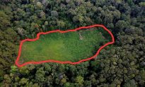 Một mảnh đất giữa rừng tự nhiên Măng Đen bị rao bán